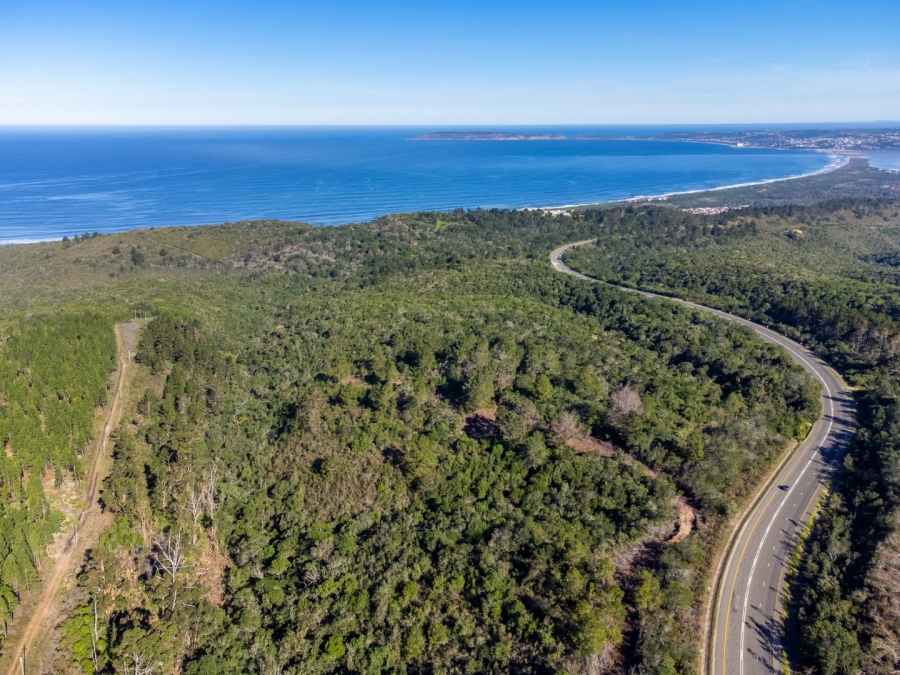 Commercial Property for Sale in Plettenberg Bay Rural Western Cape